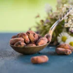 Organic cocoa beans