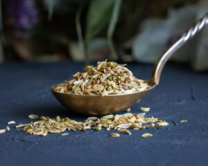 Bio-Fenchel Samen
