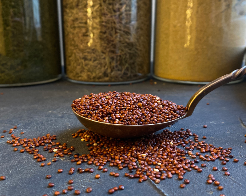 roter Quinoa Roter Bio-Quinoa