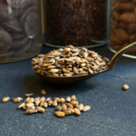 Bio-Samen des Echten Mariendistel