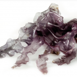 Organic dried sea vegetables NORI (flakes)